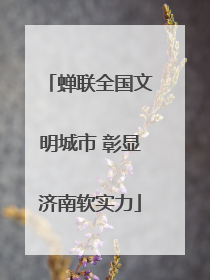 蝉联全国文明城市 彰显济南软实力