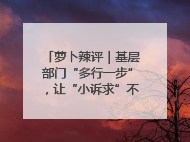 萝卜辣评｜基层部门“多行一步”，让“小诉求”不缺席法治守护