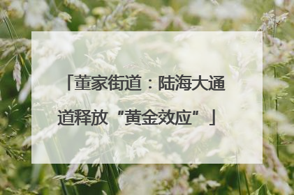 董家街道：陆海大通道释放“黄金效应”