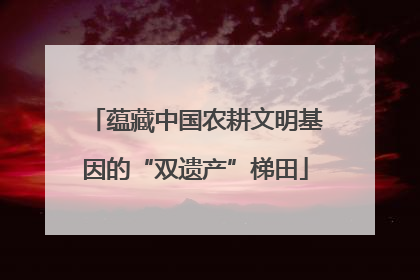 蕴藏中国农耕文明基因的“双遗产”梯田