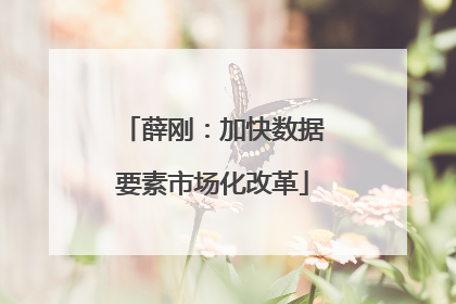 薛刚：加快数据要素市场化改革