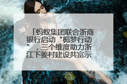 蚂蚁集团联合浙商银行启动“栀梦行动”，三个维度助力浙江下姜村建设共富示范区示范点