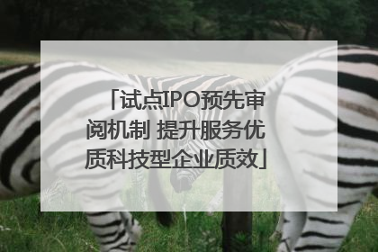 试点IPO预先审阅机制 提升服务优质科技型企业质效
