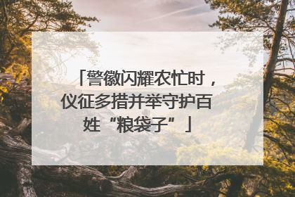 警徽闪耀农忙时，仪征多措并举守护百姓“粮袋子”