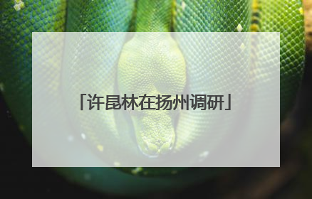 许昆林在扬州调研
