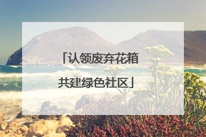 认领废弃花箱 共建绿色社区