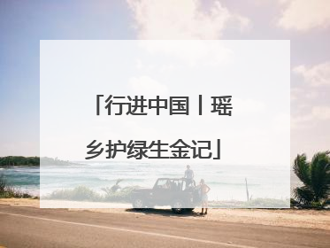 行进中国丨瑶乡护绿生金记