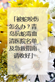 被蛇咬伤怎么办？青岛抗蛇毒血清医院名单及急救指南请收好