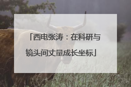 西电张涛：在科研与镜头间丈量成长坐标