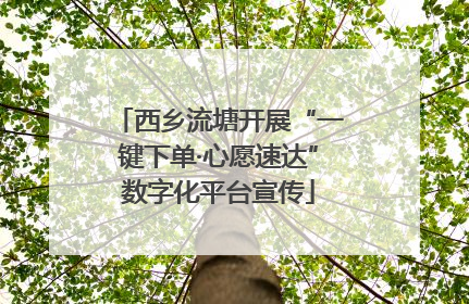 西乡流塘开展“一键下单·心愿速达”数字化平台宣传
