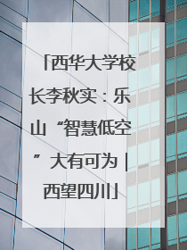 西华大学校长李秋实：乐山“智慧低空”大有可为｜西望四川