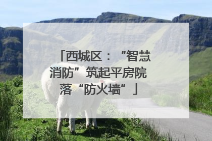 西城区：“智慧消防”筑起平房院落“防火墙”