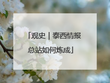 观史｜泰西情报总站如何炼成