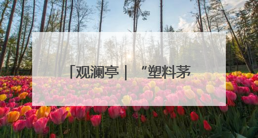 观澜亭｜“塑料茅台”LABUBU缘何成为全球顶流？