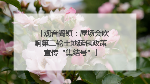 观音阁镇：屋场会吹响第二轮土地延包政策宣传“集结号”