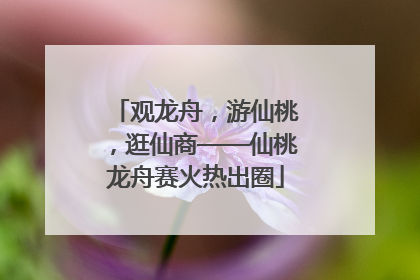 观龙舟，游仙桃，逛仙商——仙桃龙舟赛火热出圈