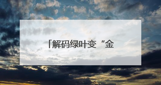解码绿叶变“金叶”的成长密码