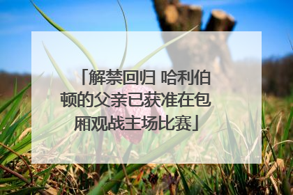 解禁回归 哈利伯顿的父亲已获准在包厢观战主场比赛