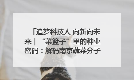 追梦科技人 向新向未来｜“菜篮子”里的种业密码：解码南京蔬菜分子育种的创新之路