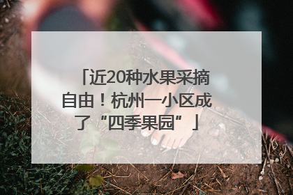 近20种水果采摘自由！杭州一小区成了“四季果园”