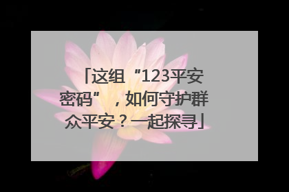 这组“123平安密码”，如何守护群众平安？一起探寻