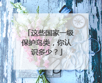 这些国家一级保护鸟类，你认识多少？