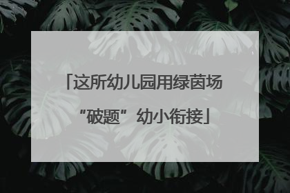 这所幼儿园用绿茵场“破题”幼小衔接