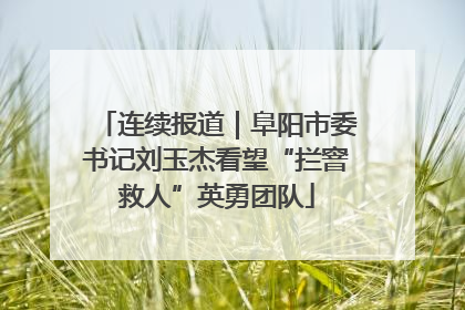 连续报道｜阜阳市委书记刘玉杰看望“拦窨救人”英勇团队