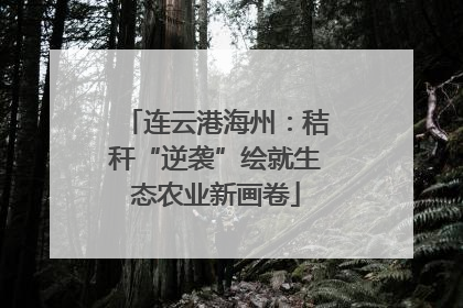 连云港海州：秸秆“逆袭”绘就生态农业新画卷
