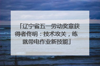 辽宁省五一劳动奖章获得者佟明：技术攻关，练就带电作业新技能