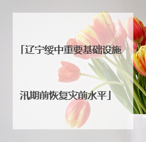 辽宁绥中重要基础设施汛期前恢复灾前水平