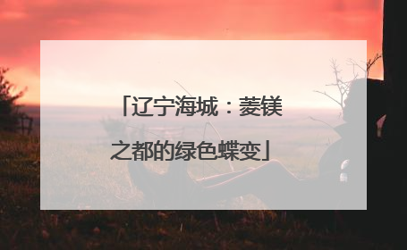 辽宁海城：菱镁之都的绿色蝶变