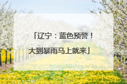 辽宁：蓝色预警！大到暴雨马上就来