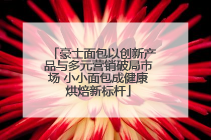 豪士面包以创新产品与多元营销破局市场 小小面包成健康烘焙新标杆