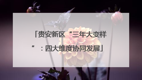贵安新区“三年大变样”：四大维度协同发展