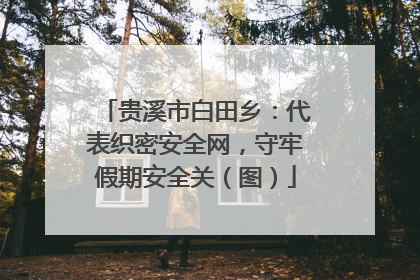 贵溪市白田乡：代表织密安全网，守牢假期安全关（图）