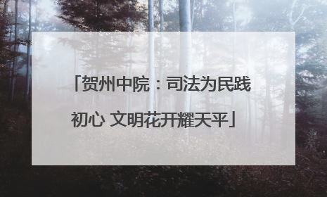 贺州中院：司法为民践初心 文明花开耀天平