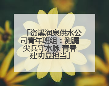 资溪润泉供水公司青年班组：测漏尖兵守水脉 青春建功显担当