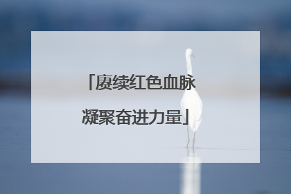 赓续红色血脉 凝聚奋进力量