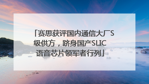 赛思获评国内通信大厂S级供方，跻身国产SLIC语音芯片领军者行列