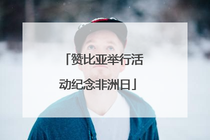 赞比亚举行活动纪念非洲日