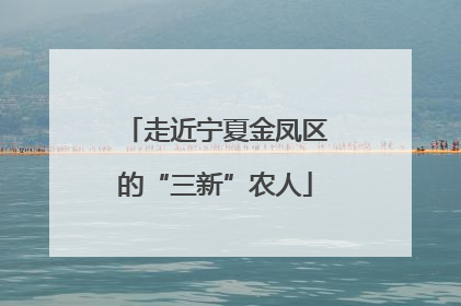 走近宁夏金凤区的“三新”农人