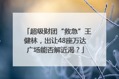 超级财团“救急”王健林，出让48座万达广场能否解近渴？