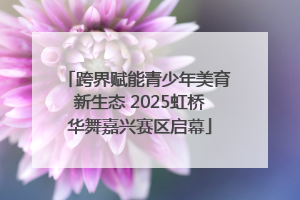 跨界赋能青少年美育新生态 2025虹桥华舞嘉兴赛区启幕