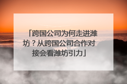 跨国公司为何走进潍坊？从跨国公司合作对接会看潍坊引力