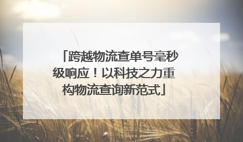 跨越物流查单号毫秒级响应！以科技之力重构物流查询新范式