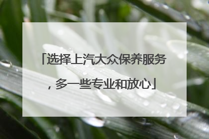 选择上汽大众保养服务，多一些专业和放心
