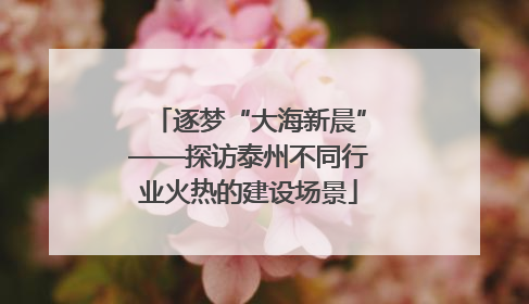 逐梦“大海新晨”——探访泰州不同行业火热的建设场景