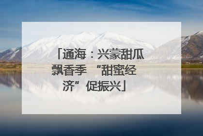 通海：兴蒙甜瓜飘香季 “甜蜜经济”促振兴