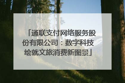 通联支付网络服务股份有限公司：数字科技绘就文旅消费新图景